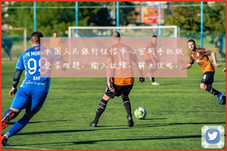 中国人民银行征信中心官网手机版登录难题，输入故障，解决攻略，三步快速恢复