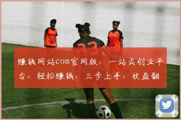 赚钱网站com官网版，一站式创业平台，轻松赚钱，三步上手，收益翻倍，快来体验