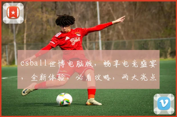 esball世博电脑版，畅享电竞盛宴，全新体验，必看攻略，两大亮点，不容错过